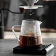 Server pentru Cafea MHW-3BOMBER Elf 500ml din Sticlă Transparentă G5096