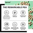 Sproud Barista 1L – Băutură din Proteine de Mazăre, Vegană, Ideală pentru Cafea