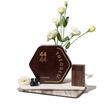 SCENTONE Aroma Kit Theorem Essential T44 – Kit Esențial de Arome pentru Profesioniștii în Cafea